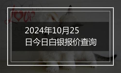 2024年10月25日今日白银报价查询