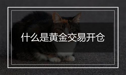 什么是黄金交易开仓