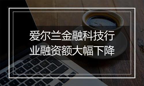 爱尔兰金融科技行业融资额大幅下降