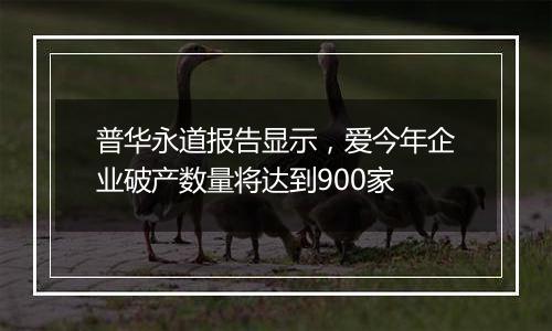 普华永道报告显示,爱今年企业破产数量将达到900家
