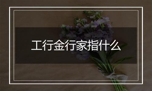 工行金行家指什么