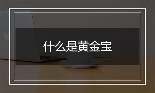 什么是黄金宝