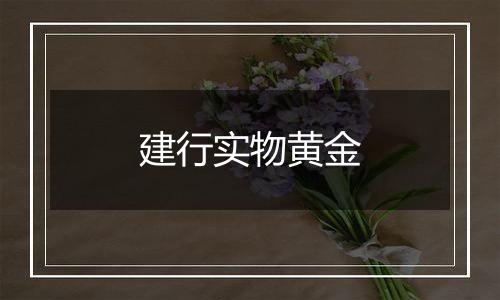建行实物黄金