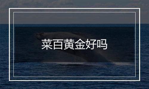 菜百黄金好吗