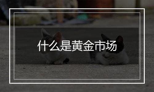 什么是黄金市场