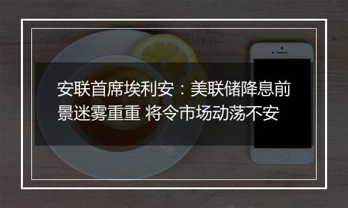 安联首席埃利安:美联储降息前景迷雾重重 将令市场动荡不安