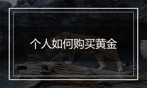 个人如何购买黄金