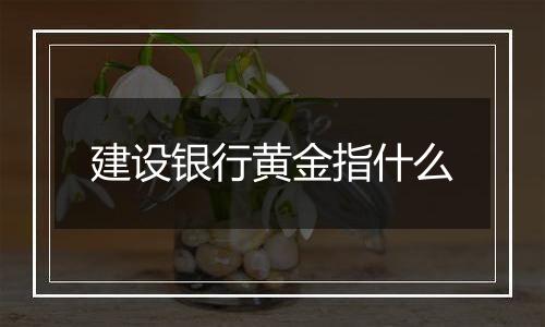 建设银行黄金指什么