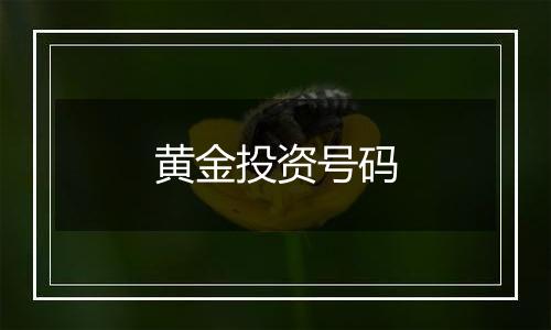 黄金投资号码