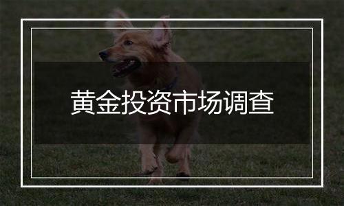 黄金投资市场调查