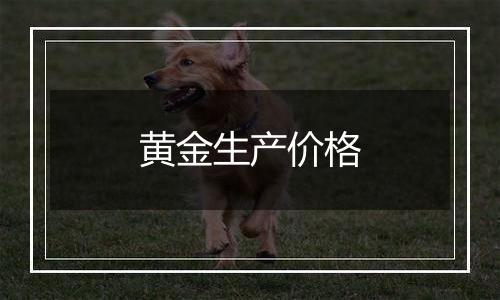 黄金生产价格