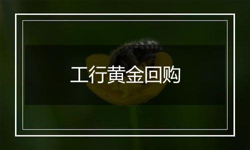 工行黄金回购