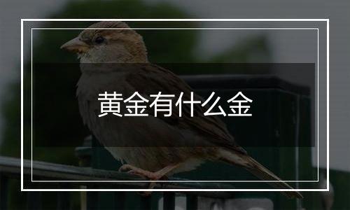 黄金有什么金