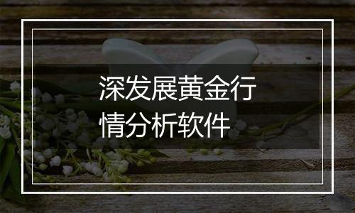 深发展黄金行情分析软件