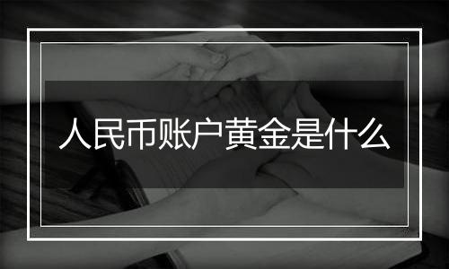 人民币账户黄金是什么