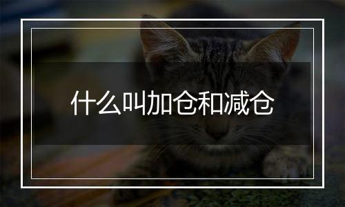 什么叫加仓和减仓
