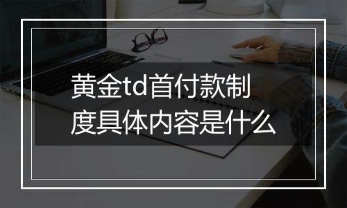 黄金td首付款制度具体内容是什么