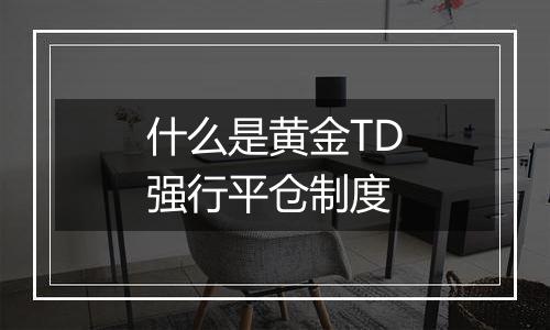 什么是黄金TD强行平仓制度