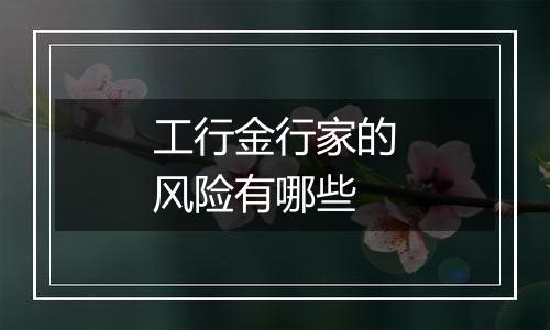 工行金行家的风险有哪些