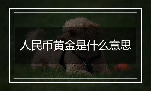 人民币黄金是什么意思