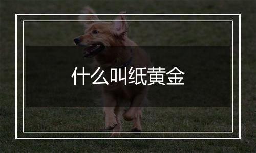 什么叫纸黄金
