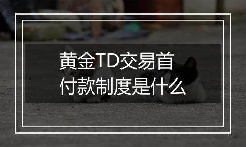 黄金TD交易首付款制度是什么