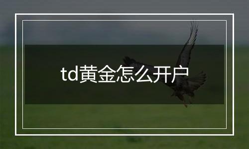 td黄金怎么开户