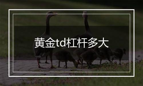 黄金td杠杆多大