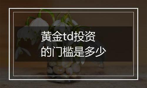 黄金td投资的门槛是多少