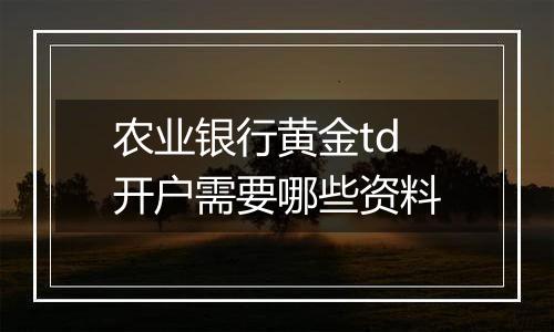 农业银行黄金td开户需要哪些资料