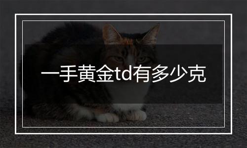 一手黄金td有多少克