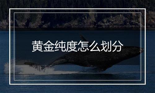黄金纯度怎么划分