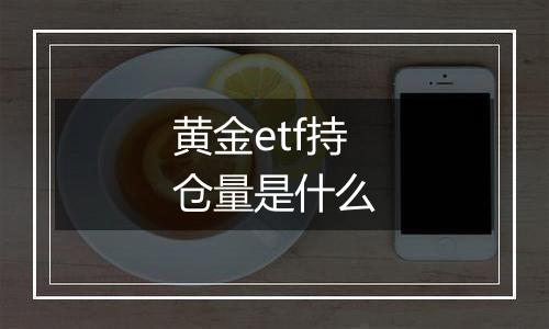 黄金etf持仓量是什么