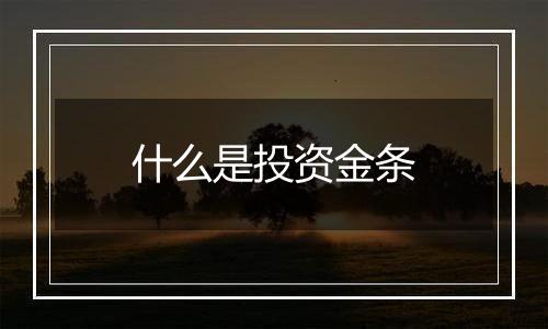 什么是投资金条