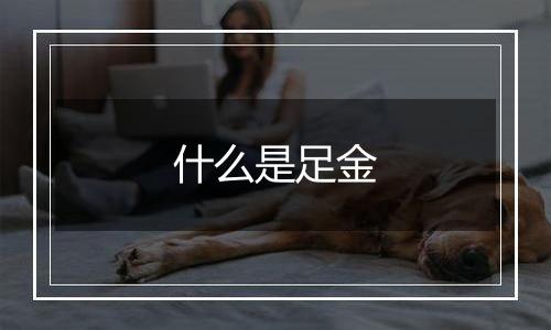 什么是足金