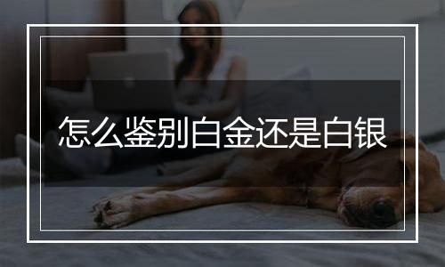 怎么鉴别白金还是白银