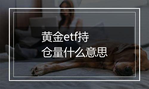 黄金etf持仓量什么意思