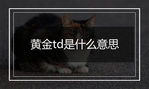 黄金td是什么意思