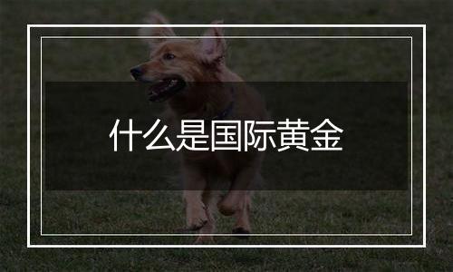 什么是国际黄金
