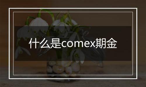 什么是comex期金