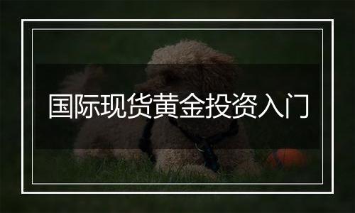 国际现货黄金投资入门