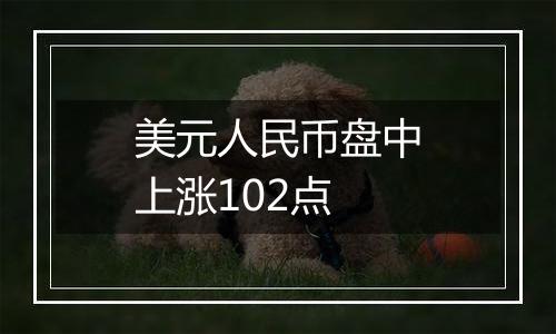 美元人民币盘中上涨102点