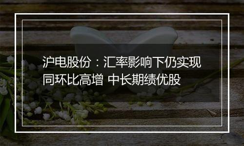 沪电股份:汇率影响下仍实现同环比高增 中长期绩优股