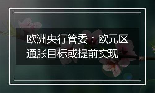 欧洲央行管委:欧元区通胀目标或提前实现