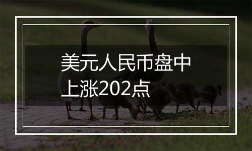 美元人民币盘中上涨202点