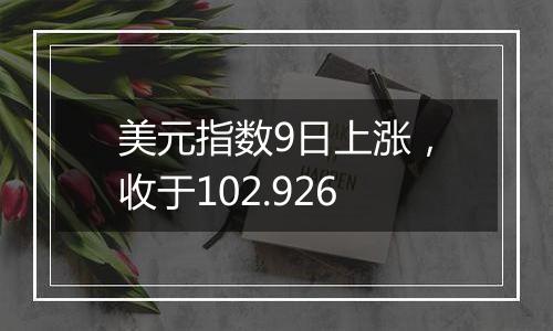 美元指数9日上涨,收于102.926
