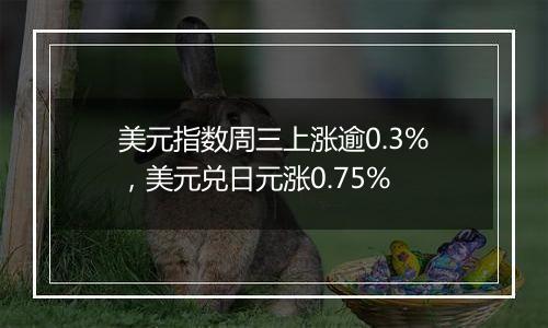 美元指数周三上涨逾0.3%,美元兑日元涨0.75%