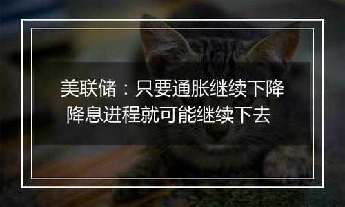 美联储:只要通胀继续下降 降息进程就可能继续下去