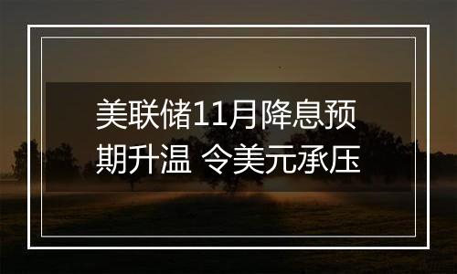 美联储11月降息预期升温 令美元承压