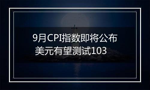 9月CPI指数即将公布 美元有望测试103